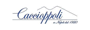 caccioppoli png